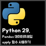 [Python] 29. Pandas 데이터프레임 apply 함수 사용하기