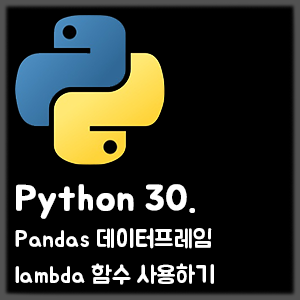 [Python] 30. Pandas 데이터프레임 lambda 함수 사용하기